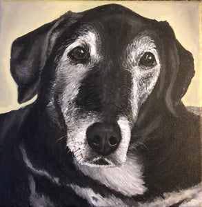 Custom pet portrait 12" x 12" Acrylic on Canvas