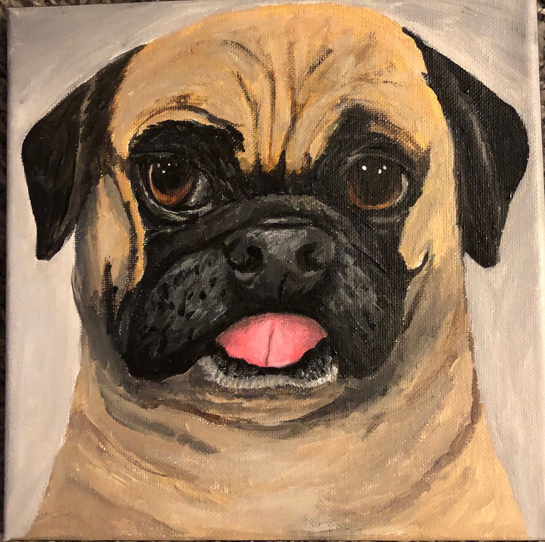 Custom Pet portrait 14' x 14' Acrylic on Canvas