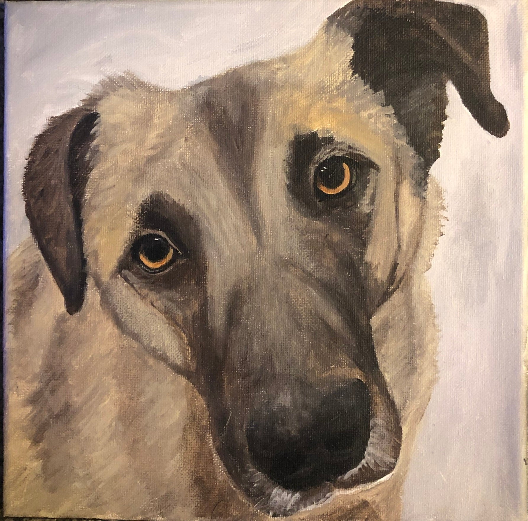 Custom Pet Portrait 10" x 10" Acrylic on Canvas