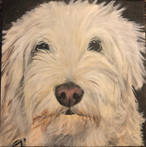 Custom Pet Portrait 20" x 20" Acrylic on Canvas