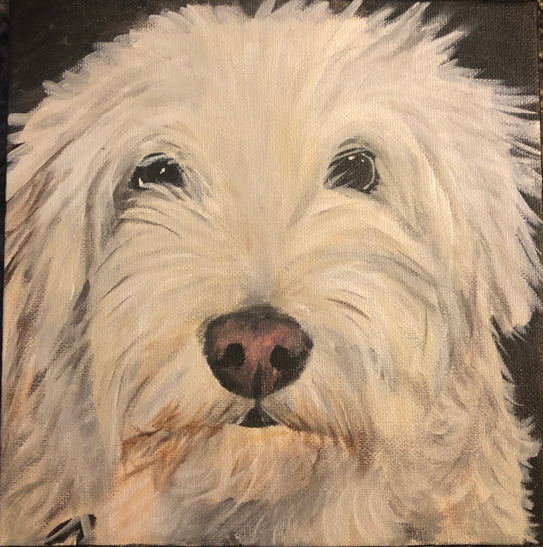 Custom Pet Portrait 20